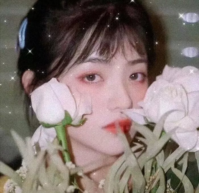 母汤
